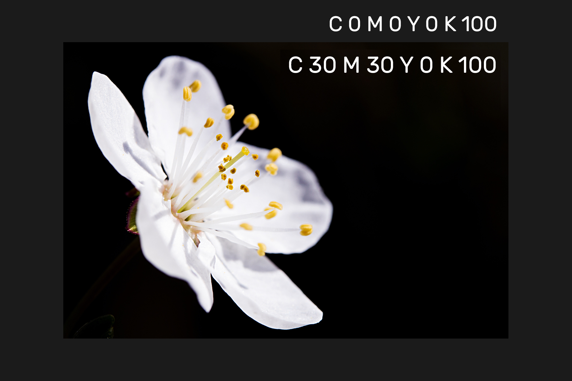 Black Problem Black Problem