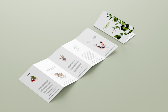 Depliant 5 volets accordeon ouvert illustrations botaniques florales sur vert sauge. Sprint24.