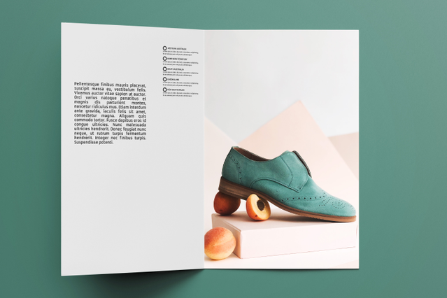 Brochure pliante A4 professionnelle tri-pli contenu marketing photographie produit. Sprint24.