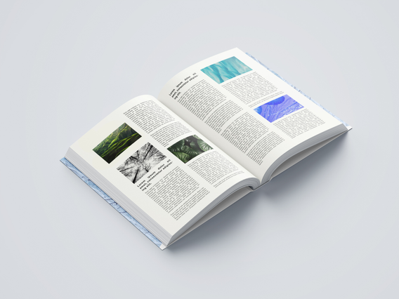 Publications professionnelles reliure fil personnalisees catalogues et materiels marketing impact. Sprint24.