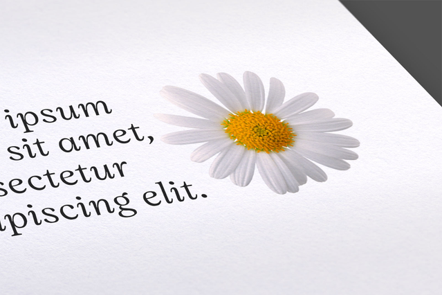 Arena Extra White Smooth: Type : Naturel
Surface : lisse homogène
Epaisseur : de 80 Ă 580 gr
Usages : idéal pour l'impression d'invitations, faire-part, cartes de visite, calendriers et catalogues. Excellent rendu des couleurs, parmi les meilleurs sur supports non couchés.
Producteur : Fedrigoni Arena Extra White Smooth: Type : Naturel
Surface : lisse homogène
Epaisseur : de 80 Ă 580 gr
Usages : idéal pour l'impression d'invitations, faire-part, cartes de visite, calendriers et catalogues. Excellent rendu des couleurs, parmi les meilleurs sur supports non couchés.
Producteur : Fedrigoni