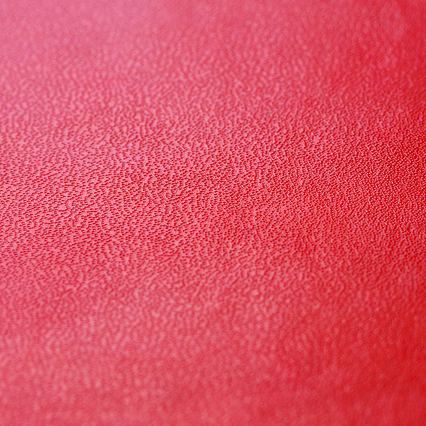 Couverture rigide en cuir rouge: Couverture réalisée en simili cuir rouge (Skinplast enduit de pvc et carton) et âme en carton rigide.
